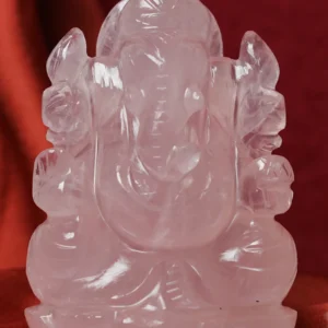 ganesh rose